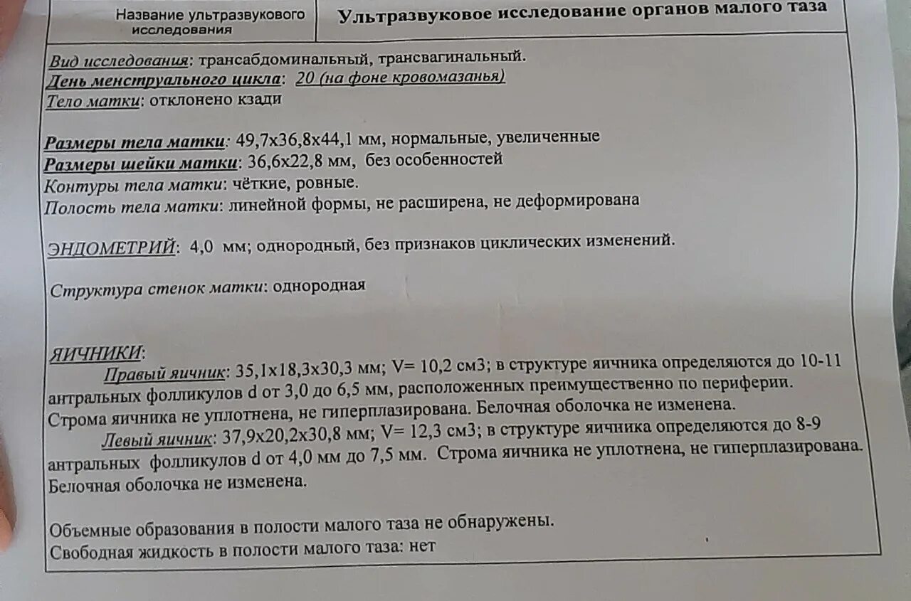 При месячных можно делать узи малого таза. Признаки ановуляторного цикла на УЗИ. Ановуляторный цикл УЗИ заключение. Диагноз ановуляторный цикл. Ановуляторный цикл на УЗИ как выглядит.