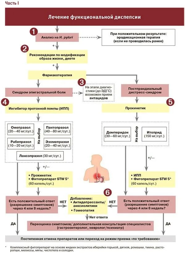 Препараты при функциональной диспепсии. Функциональная диспепсия у детей классификация. Функциональная кишечная диспепсия симптомы. Синдром диспепсии терапия. Диспепсия форум