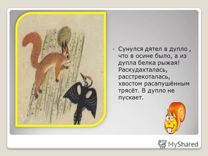 кто в каком домике живет. задача есть 5 домов каждый. кто кто в доме живет. сладков кто в моем доме живет. животные кто где живет для детей.