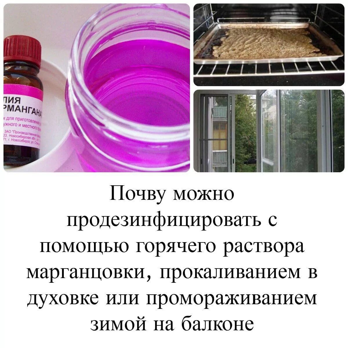 Надо ли обеззараживать. Обработка грунта марганцовкой. Раствор марганцовки. Дезинфекция почвы для рассады. Дезинфекция грунта марганцовка.