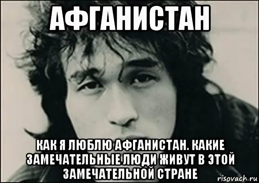 Почему афганцы любят голубей. Почему афганцы любят голубей