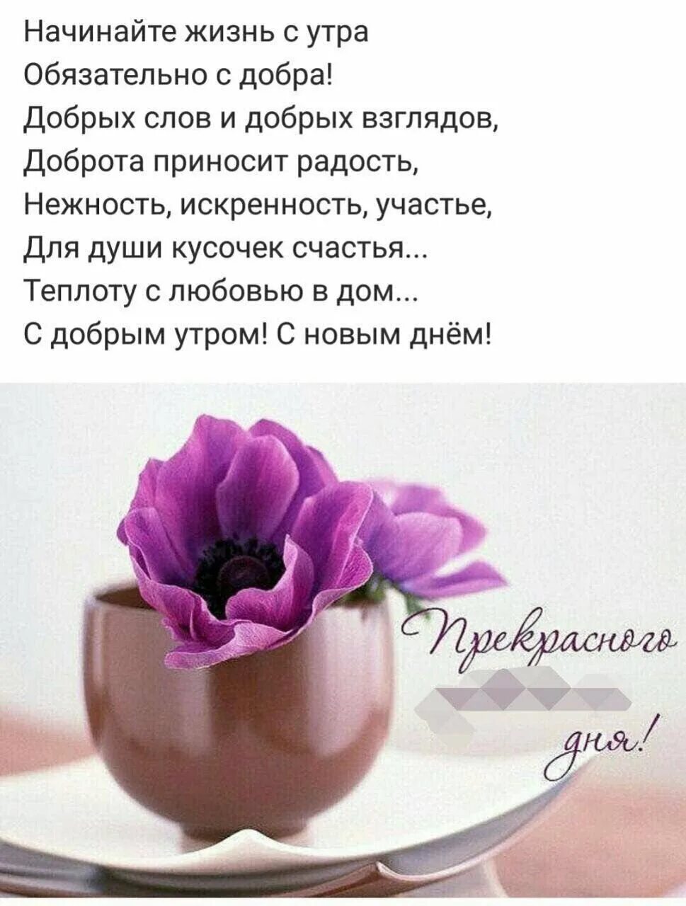Умные цитаты с добрым утром. Красивые афоризмы с добрым утром. мудрые пожелания с добрым утром. доброе утро мудрые пожелания. мудрые цитаты с добрым утром.