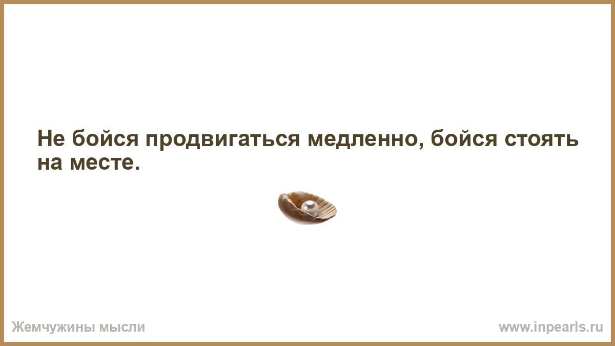 Опасные коты. Стоять мем. Маленький гитлер мем. Стоять бояться раз. Стоять бояться.