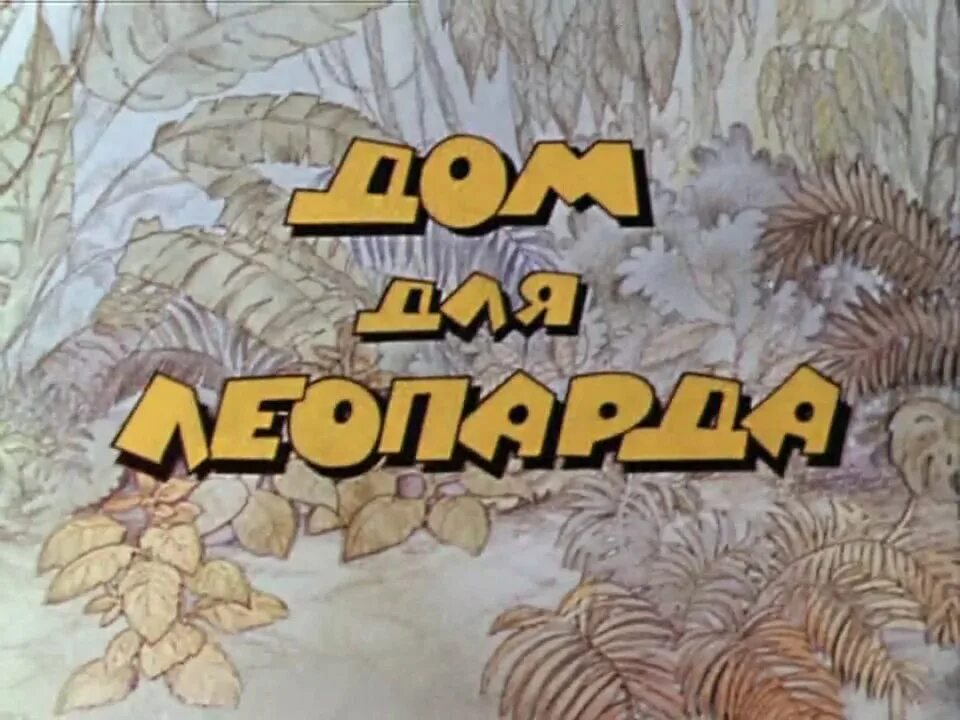 Дом для леопарда. Дом для леопарда 1979. домик для леопарда.