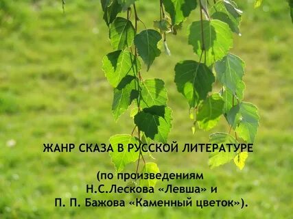 Живем листва