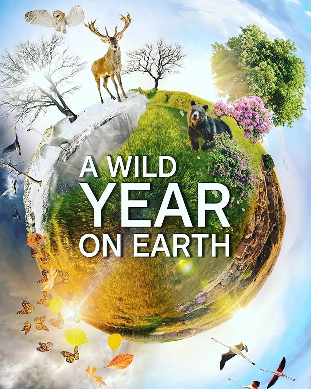 Вилд год. Earth 1 year. One Wild year. A year on Planet Earth 2022.