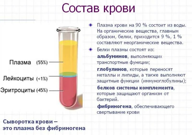 плазма крови без фибриногена. плазма крови лишённая фибриногена это. плазма это кровь лишенная. сыворотка крови и плазма крови. плазма крови состоит из.
