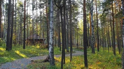 Лапландия абзаково сайт