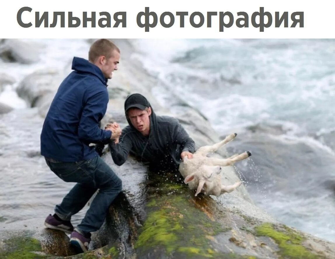 Поступки вызываемые эмоциями. Его поступок вызвал. Поступки человека. Добрые поступки. Добрые поступки.