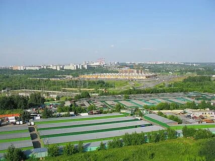 Садовод 93