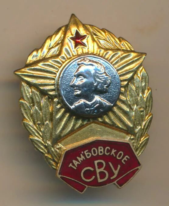 Знак сву. Тамбовское Суворовское военное училище. Тамбовс кое с у воровское училище. Суворовский значок. Воронежское Суворовское военное училище.