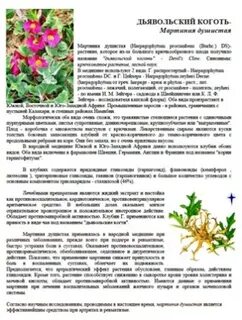 Мартиния душистая свойства и противопоказания