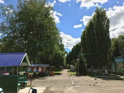 Дол юность