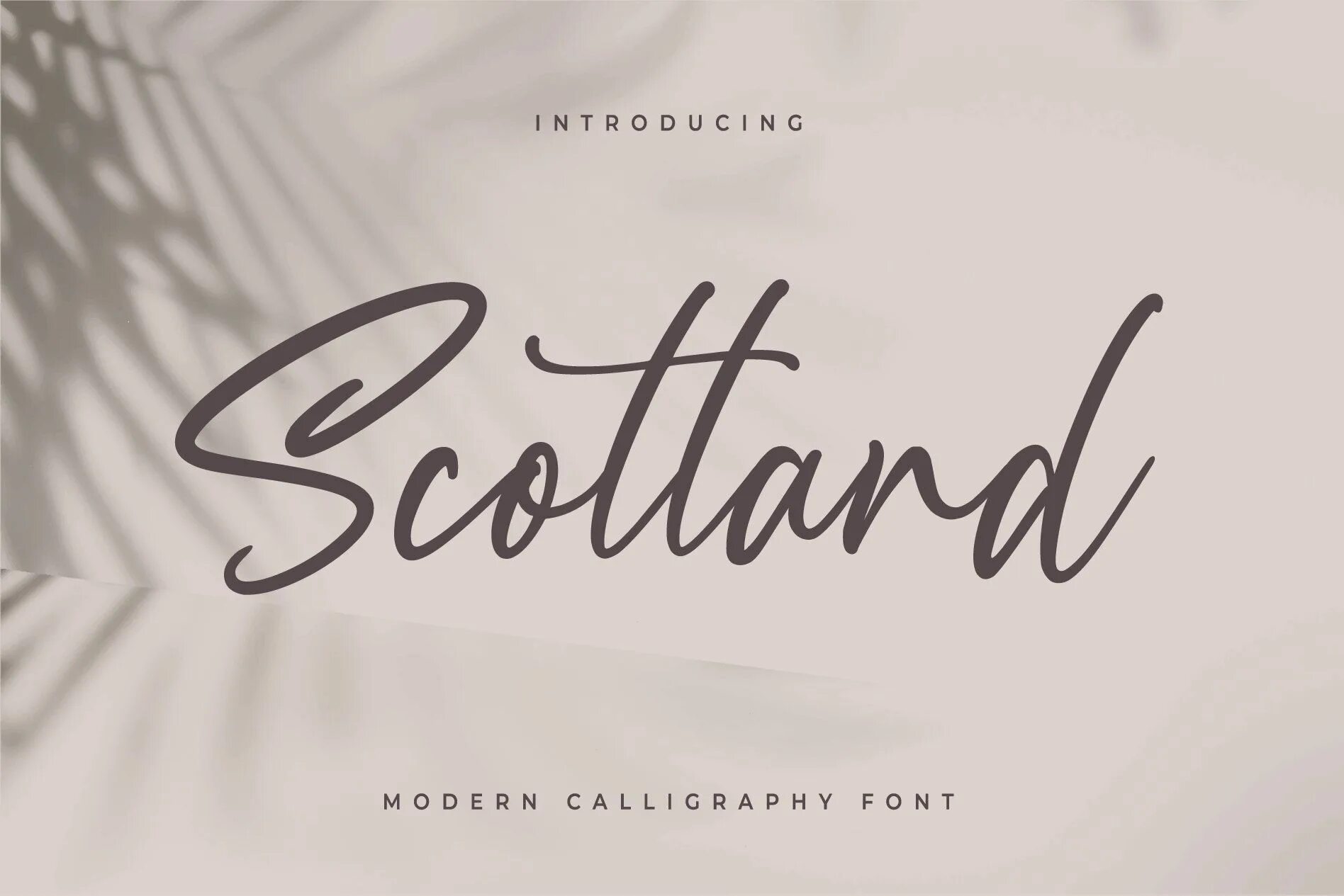 Scotland шрифт. Scottish font. Falling script