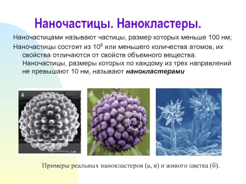 Размер наночастиц. Пэм наночастицы. размер наночастицы. кластеры и наночастицы. металлические наночастицы.
