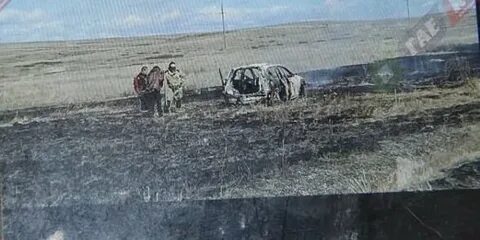 Поле что случилось