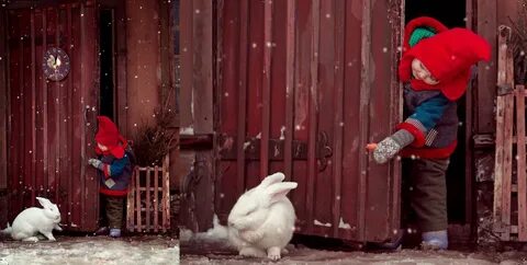 Клип гномика