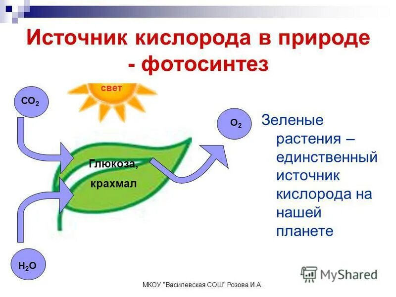 Источники кислорода в воздухе