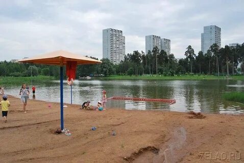 Школьное озеро зеленоград