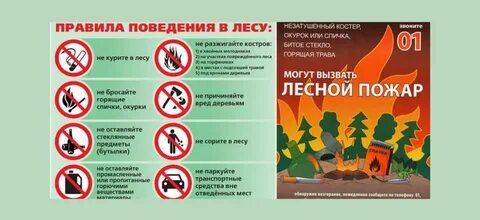 Правила поведения во время пожара в лесу