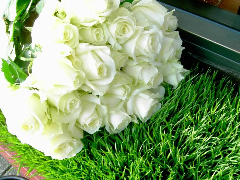 Белые розы смысл. Белые розы значение. Белоснежные букеты роз на фоне красивых пейзажей картинки.