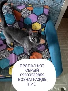 Пропали сад