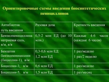 Введение 5 глава 1