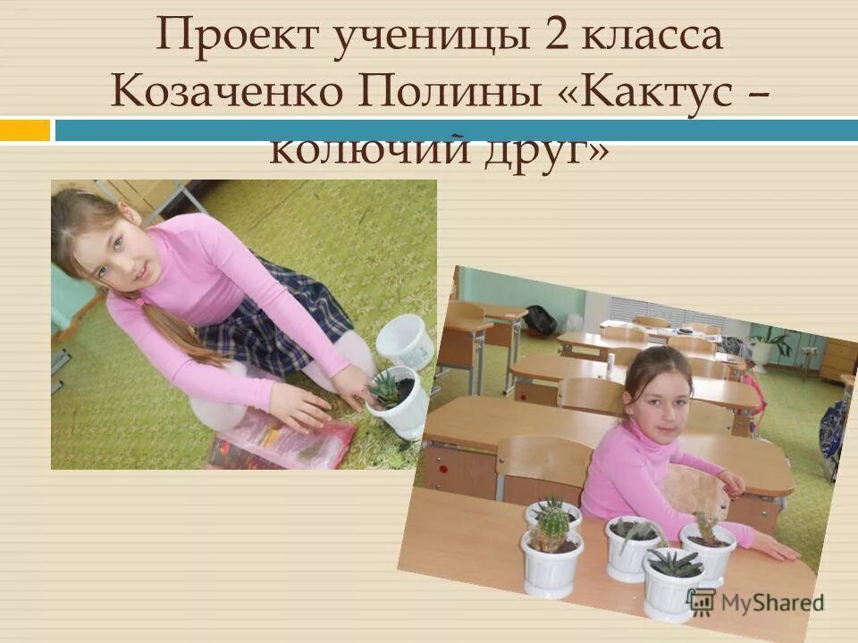 Школьный исследовательский проект: "Кто мы такие и кое-что о нас." - география, 