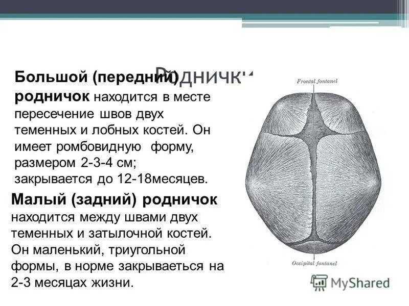 Родничок закрывается норма. Сосцевидный Родничок у новорожденных. Родничок у новорожденных норма в 5 месяцев. Роднички черепа новорожденного таблица. Характеристика большого родничка.