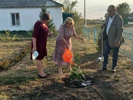 Погода мальково купинский