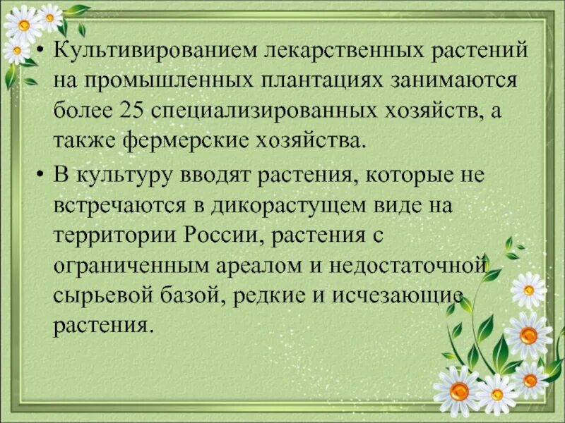 Культивируются растения. Культивирование лекарственных растений. Плантация лекарственных растений. Пробирка для культуры тканей растений. Метод культуры клеток растений.