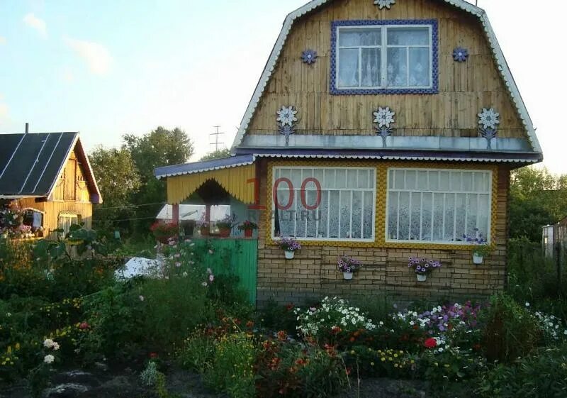 чика дача. бабкина дача старая купавна. дача рассвет новосибирск возле чика. чика дача. чика дача.