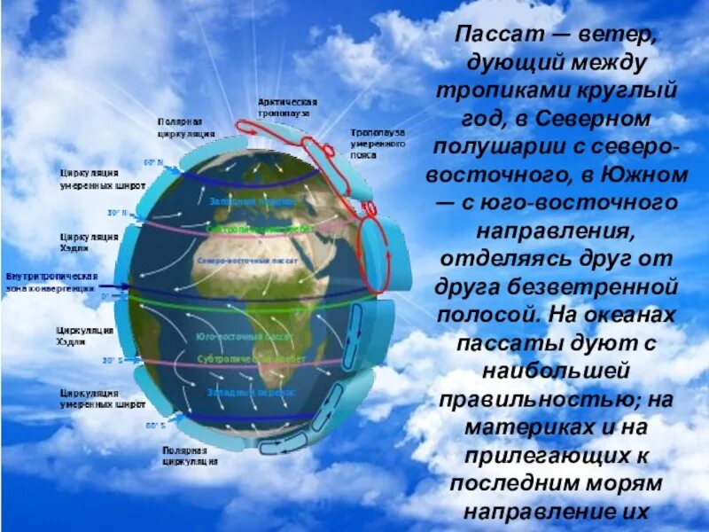 Тропики это география 5 класс. Северо Восточный Пассат. Пассат ветер. Пассаты в Южном полушарии. Пассаты в Северном полушарии.