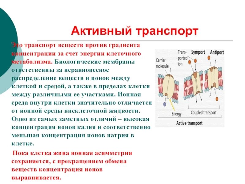 Энергия живых клеток организма. Активный транспорт веществ в живой клетке. Активный транспорт ионов в клетку:. Активный транспорт – это транспорт веществ:. Активный транспорт против градиента концентрации.