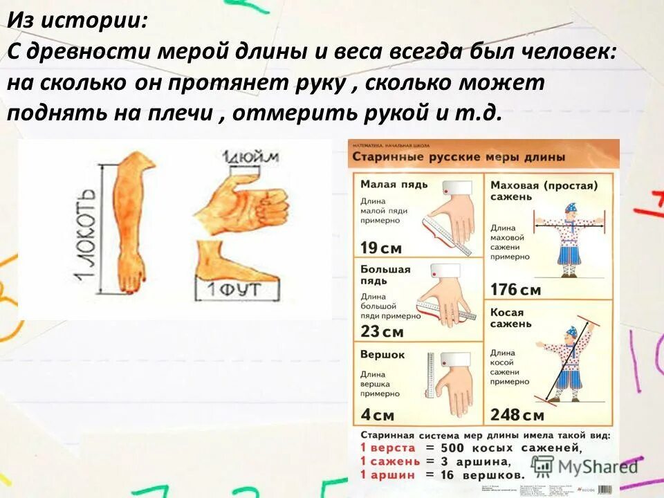 Сколько можно поднимать вес. Меры длины. Исторические меры длины. Исторические меры длины и массы. Сколько веса может поднять человек.