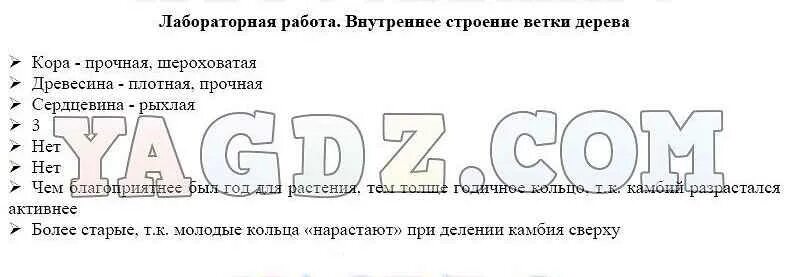 Лабораторная работа внутреннее строение ветки дерева. Внутреннее строение ветки дерева. Внутреннее строение ветки дерева лабораторная. Лабораторная работа внутреннее строение ветки дерева вывод.