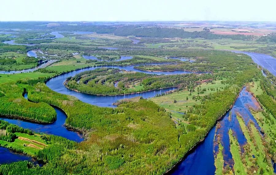 Откуда берет начало сура. Река Сура Ульяновская область. Река Сура в Чувашии. Сура (приток Волги) в Пензе. Река Пенза , приток Сура.