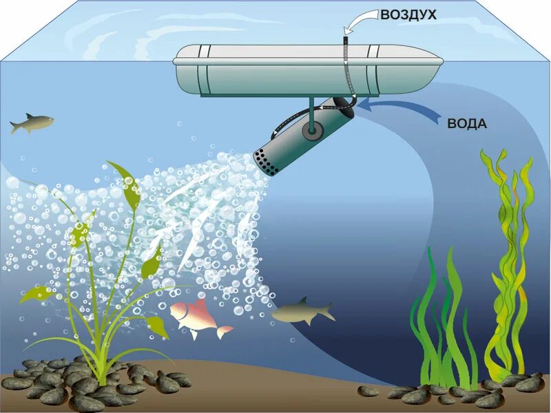 Насыщение воды воздухом. Аэратор для водоема. Аэратор механический для пруда. Аэратор рыба пруд. Обогащение воды кислородом в пруду.