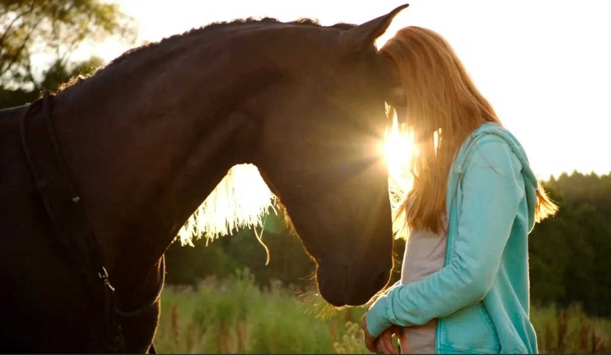 Восточный ветер 2 на русском. Восточный ветер фильм. Восточный ветер 2. Оствинд восточный ветер 2. Оствинд восточный ветер.