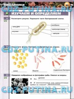 Биология 7 сухорукова