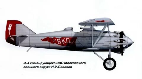 Ant 5