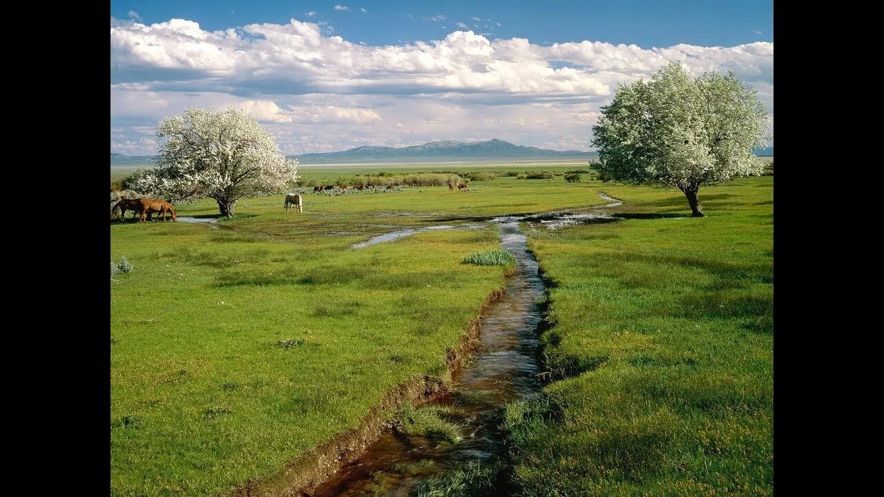 Произведение никитина русь. Саввич Никитин Русь.