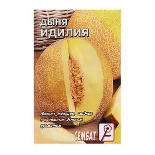 Дыня идиллия