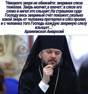 Ответите за каждую слезинку моего сына