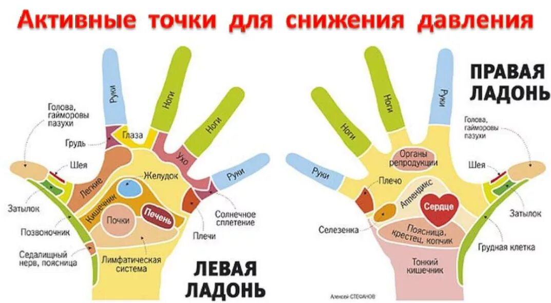 Система ладони