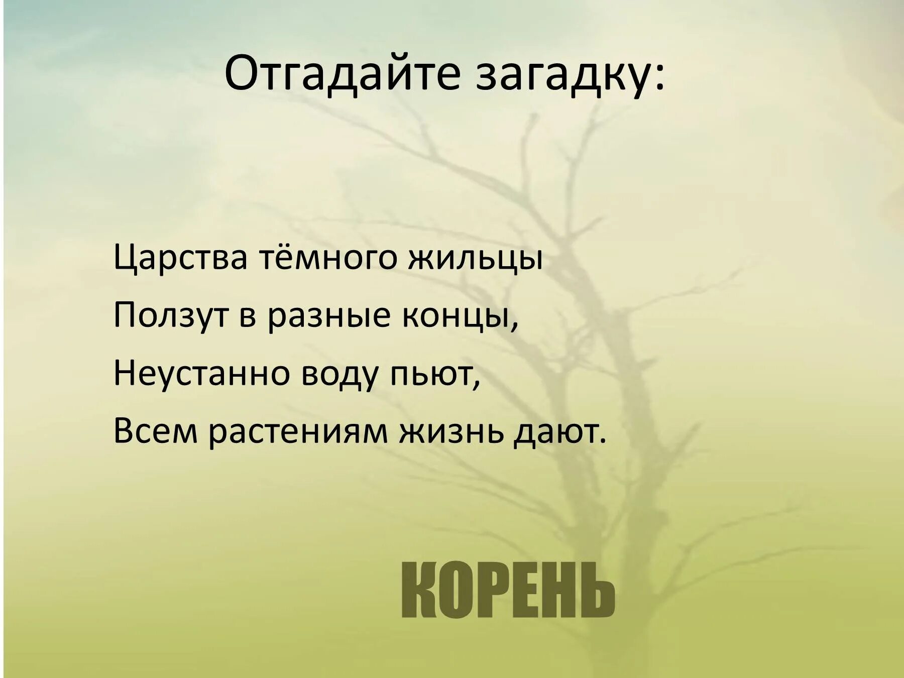 Корень слова отгадайте. Загадка про корень. загадки о корне. загадка про корень растения. загадки о корнях по биологии.