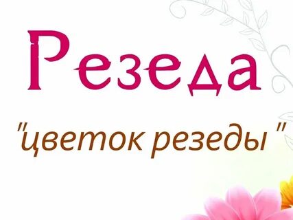 С днем рождения женщине резеда