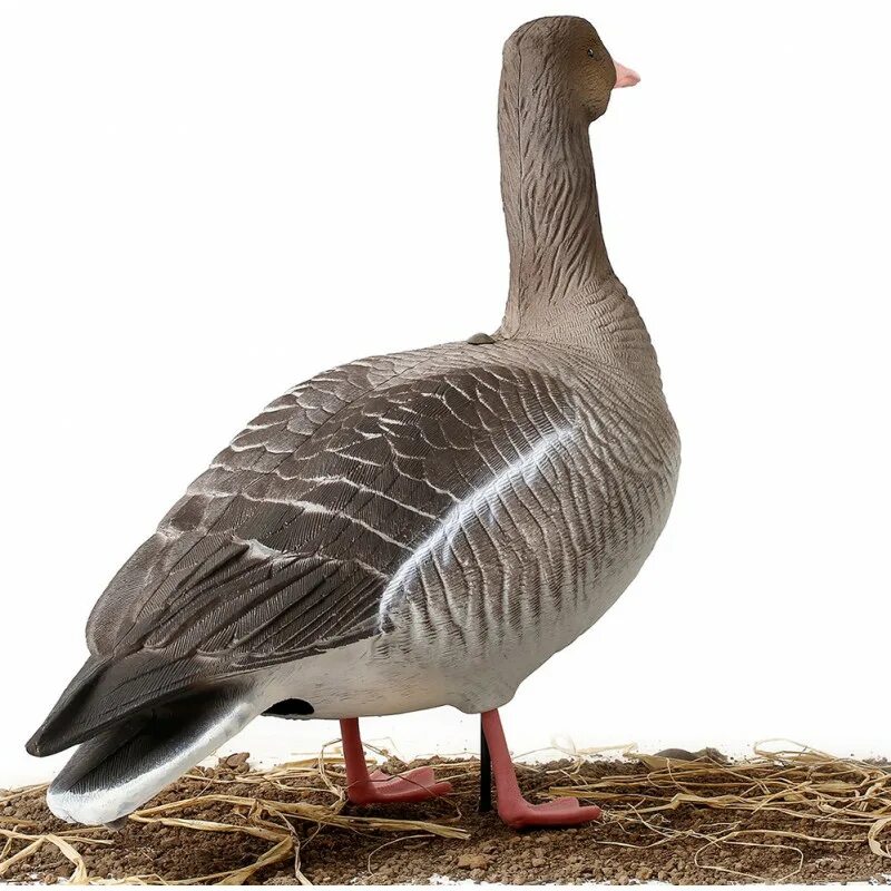 Чучела гусей хигдон. Утиные чучела northway softlast. Чучела уток шилохвость. Чучела альфа. Чучела альфа.