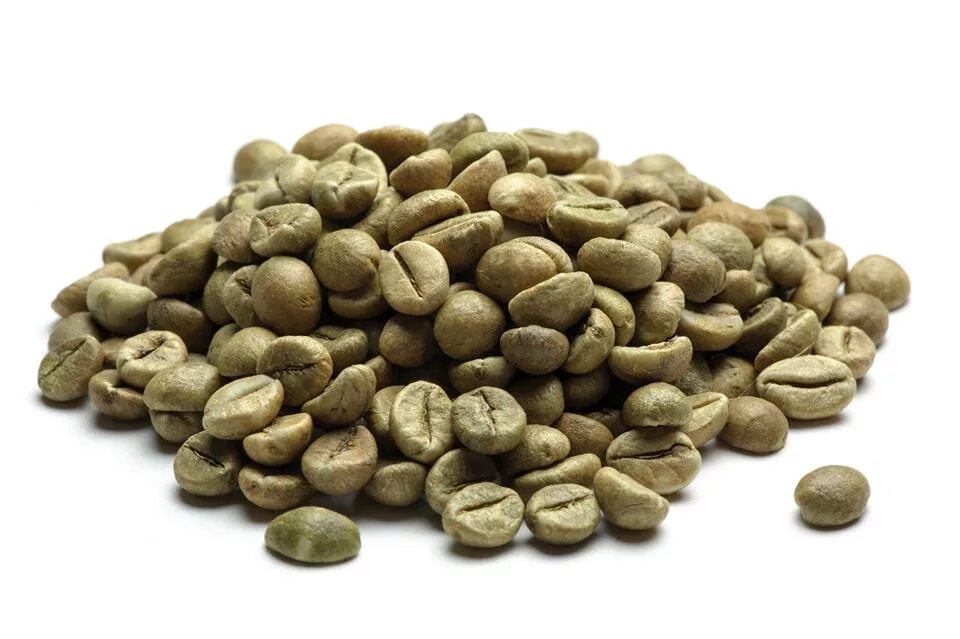 День зеленого кофе. Кофе "Робуста Уганда" зеленый. Робуста Уганда зеленый. Зеленый кофе в зернах. Кофе зеленый зерновой.