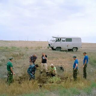 Погода гмелинка волгоградской обл